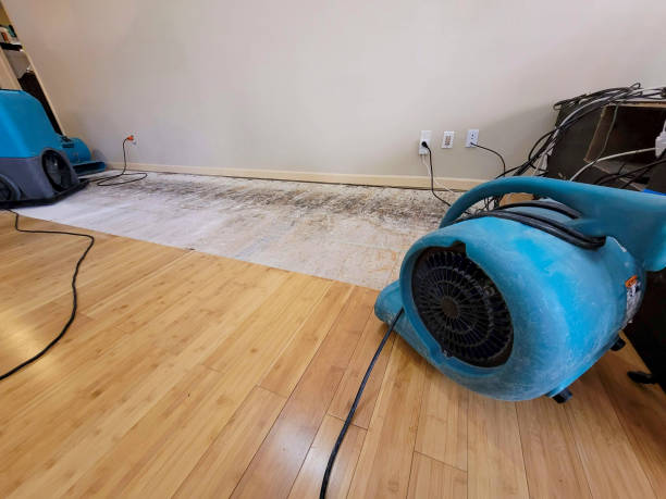 Professional Water Damage Repair technician working in Stevens, PA